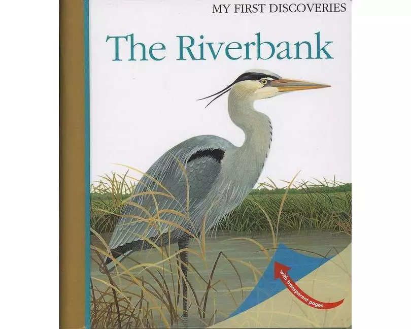 The Riverbank: Volume 12