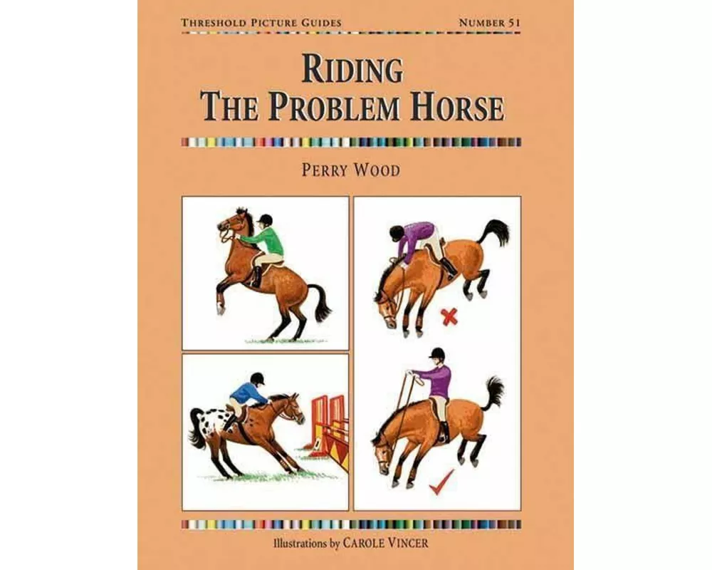 Riding the Problem Horse