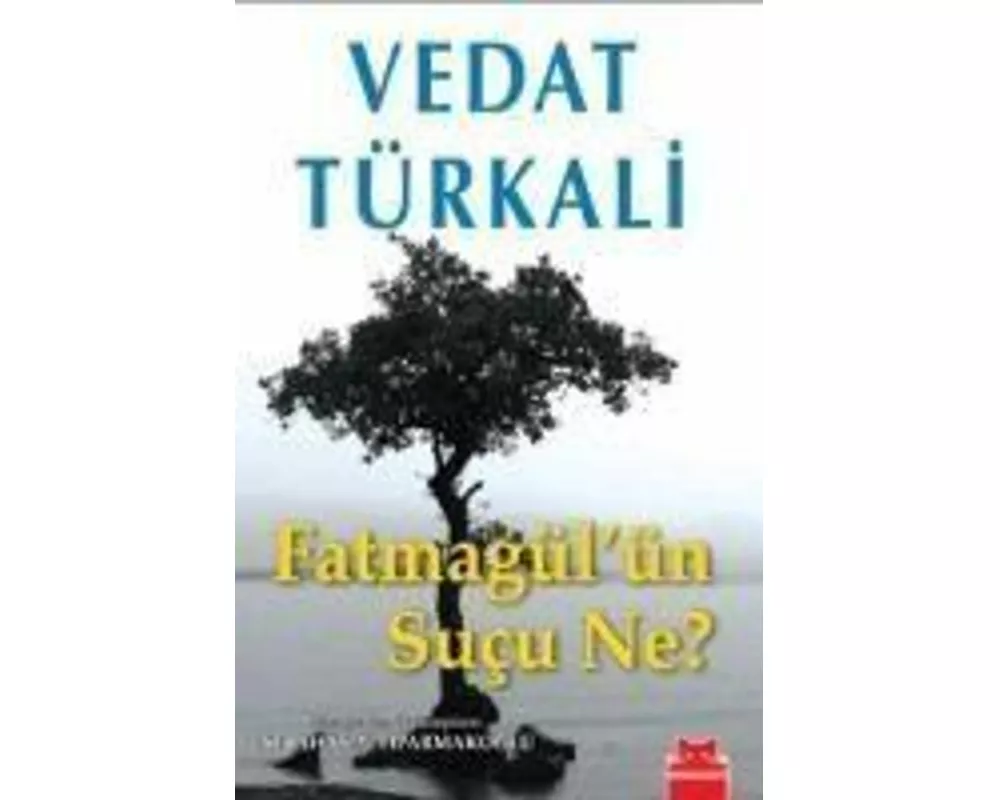 Fatmagülün Sucu Ne