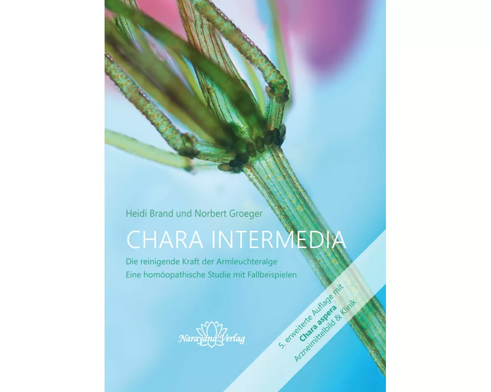 Chara intermedia