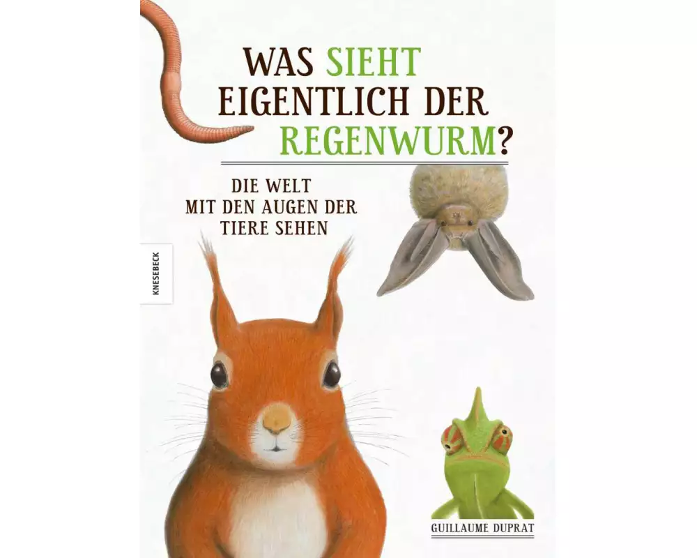 Was sieht eigentlich der Regenwurm?