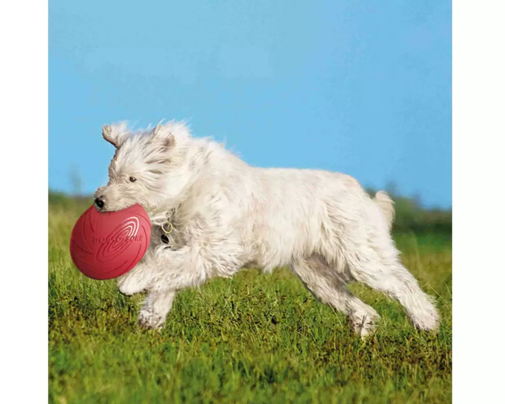 Trixie Dog Disc Wurfscheibe Naturgummi schwimmfähig Ø 24 cm
