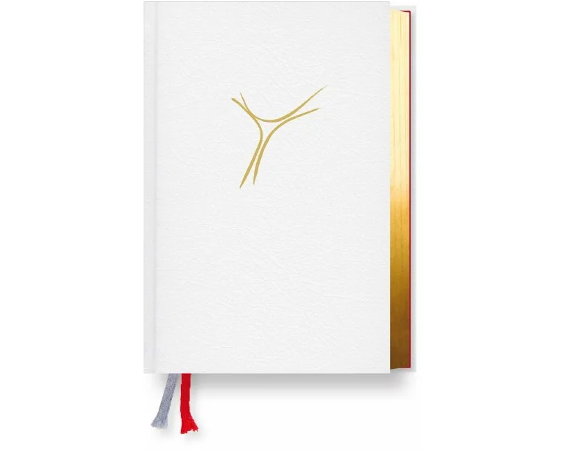 Gotteslob Bistum Passau. Cabra weiß, Goldschnitt