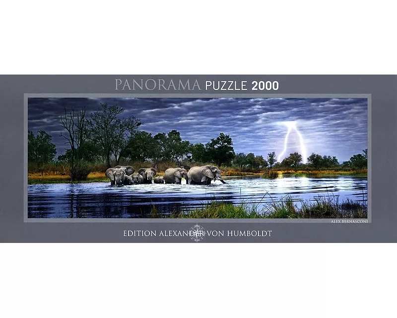 Herd of Elephants Puzzle