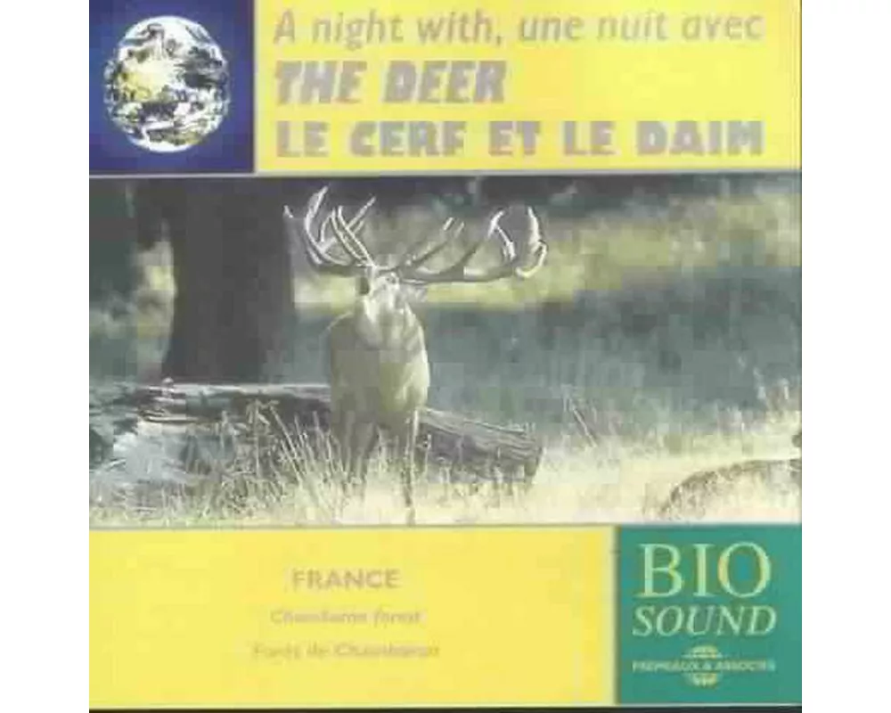 A Night With The Deer