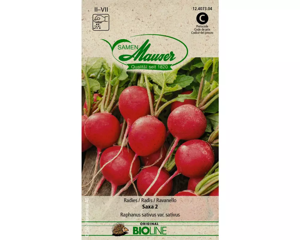 Samen Mauser Samen BIO Radies Saxa 2