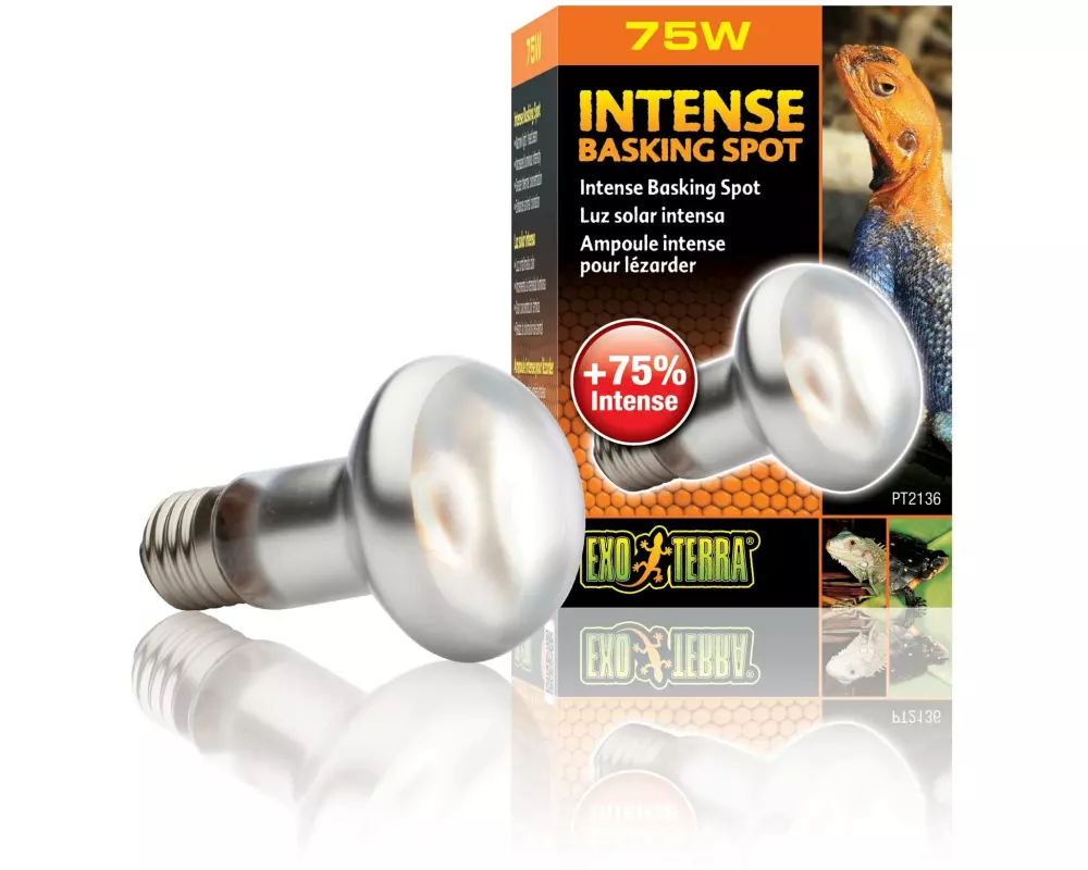 Exo Terra Terrarienlampe Intense Basking Spot E27, R20/75W