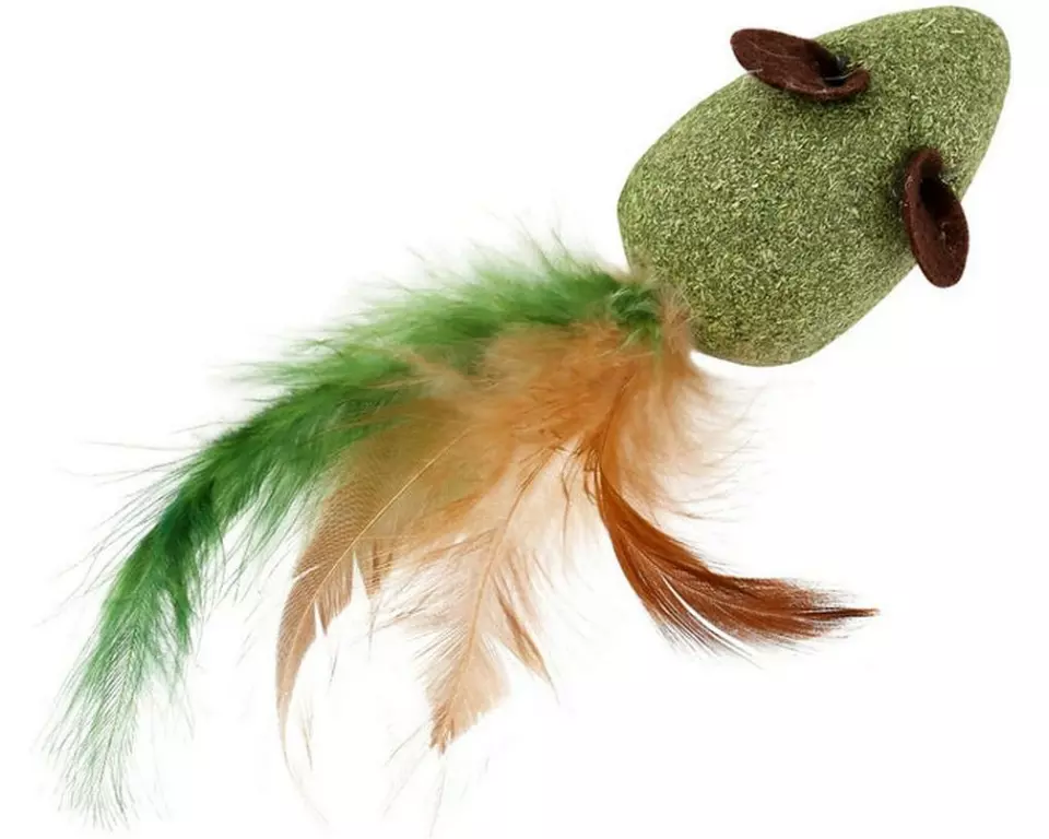 WOUAPY Katzen-Spielzeug Big Fledermaus