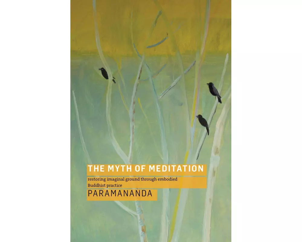 The Myth of Meditation