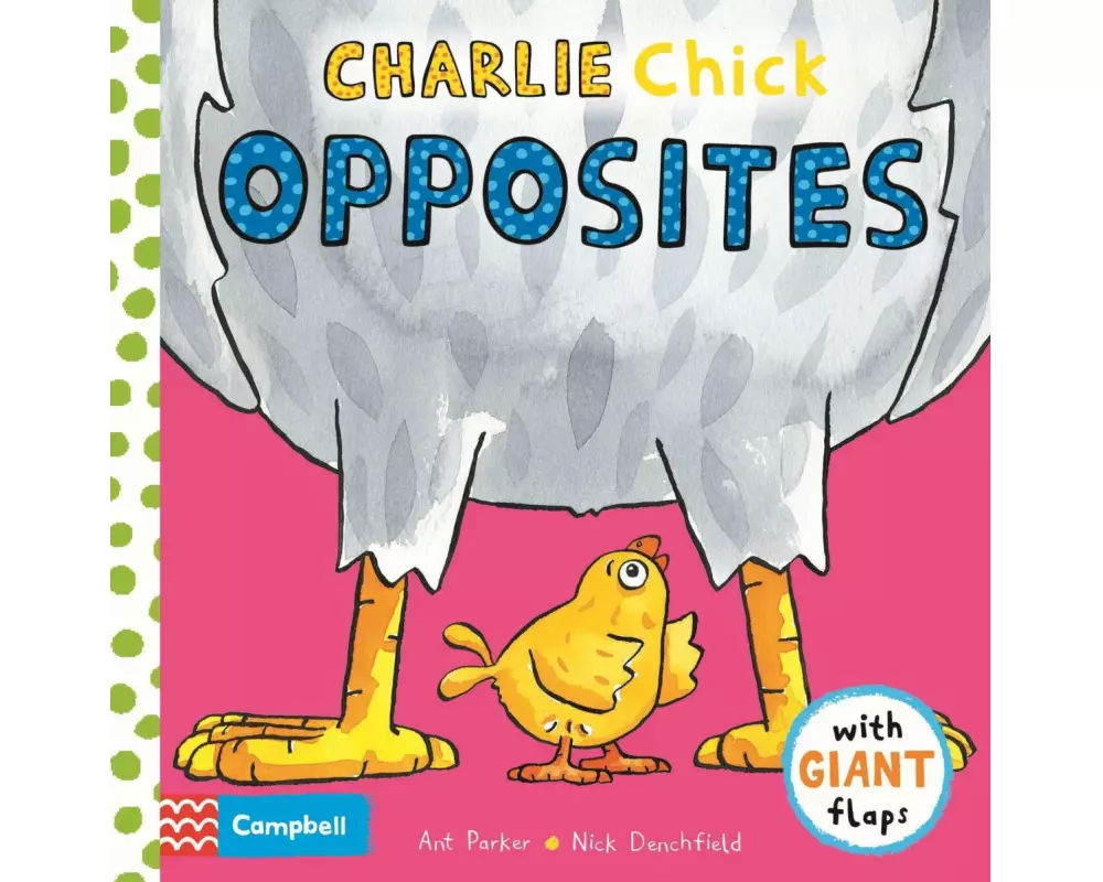 Charlie Chick Opposites