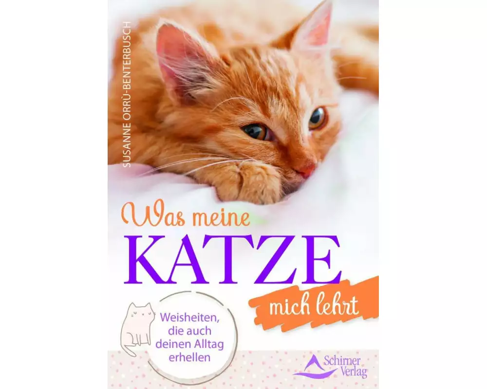 Was meine Katze mich lehrt