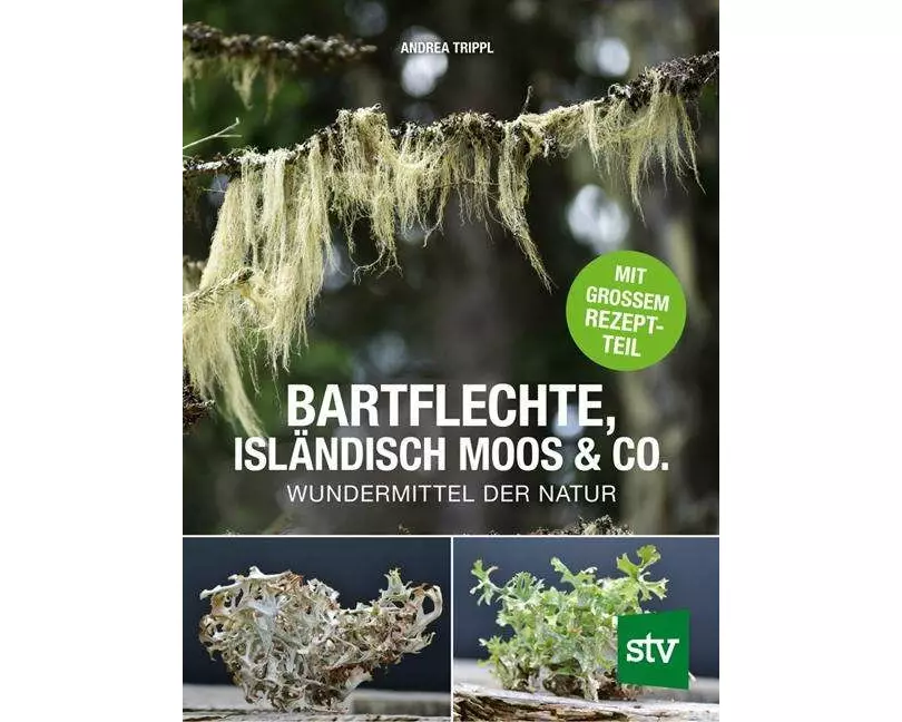 Bartflechte, Isländisch Moos & Co