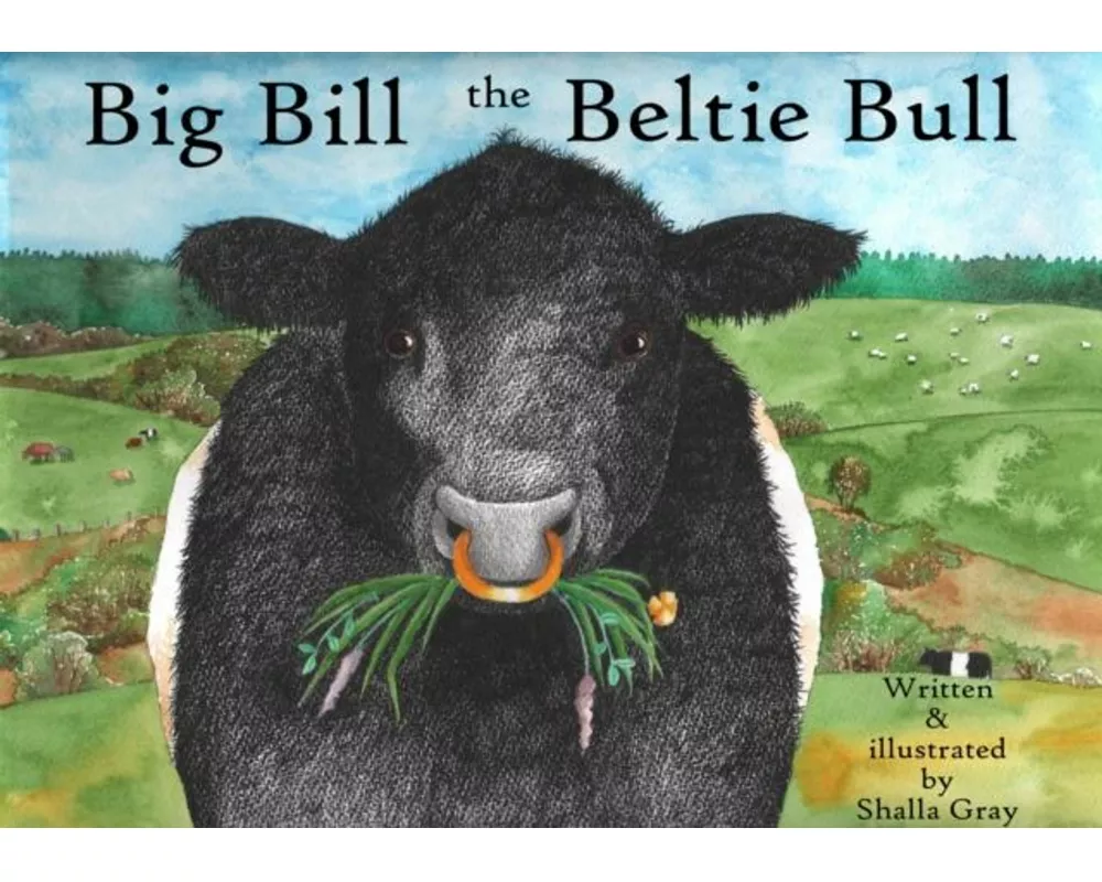 Big Bill the Beltie Bull