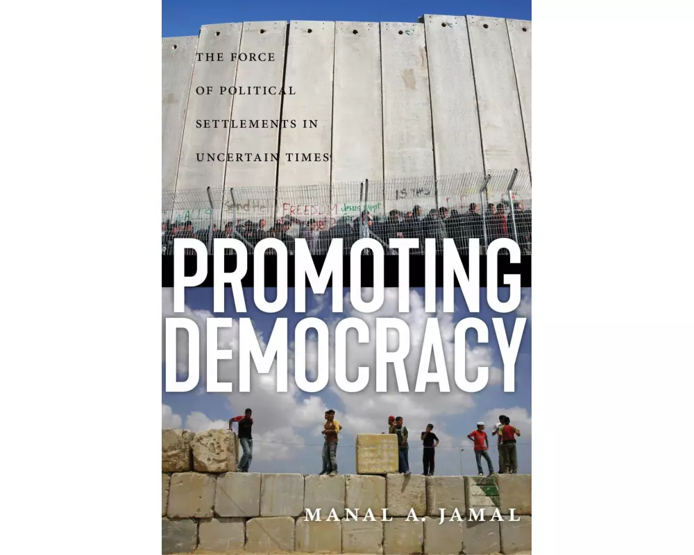 Promoting Democracy