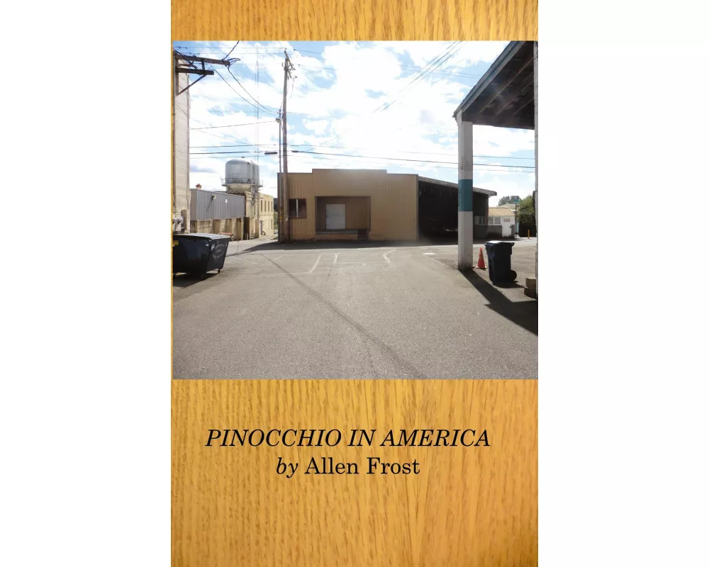 Pinocchio in America