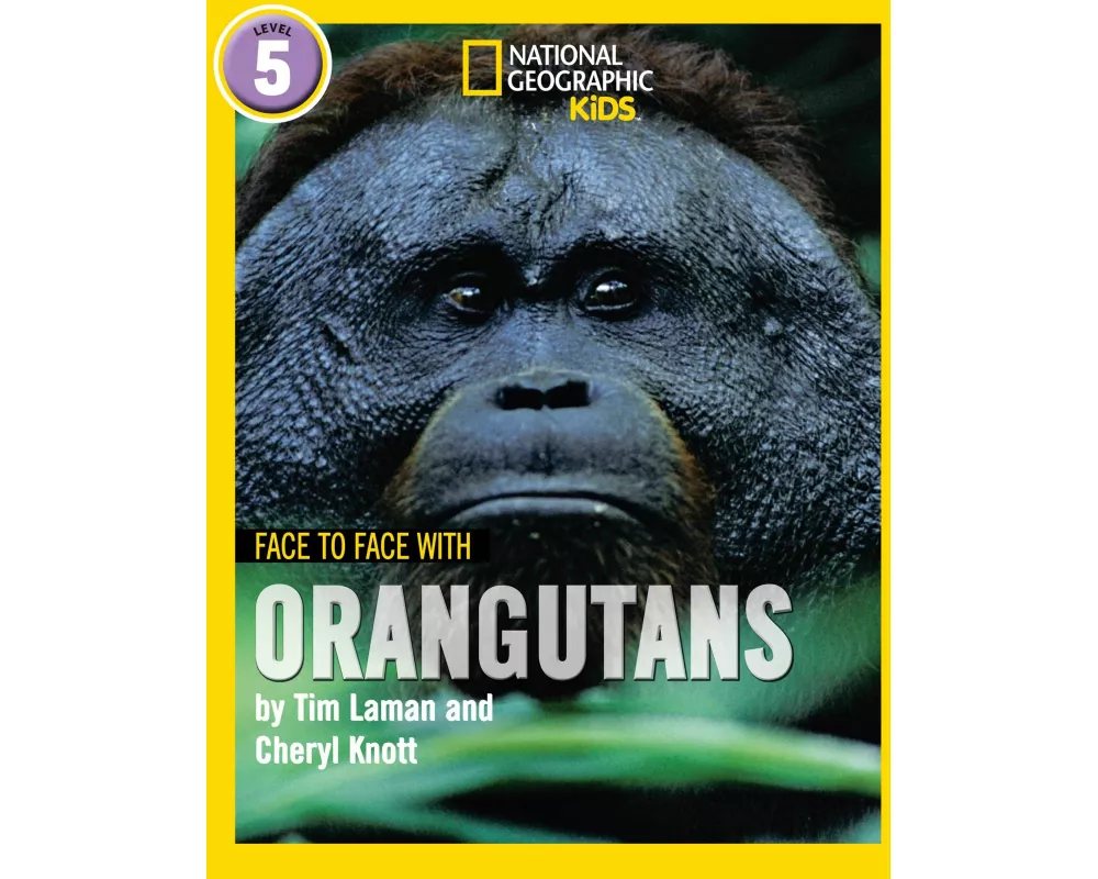 Face to Face with Orangutans