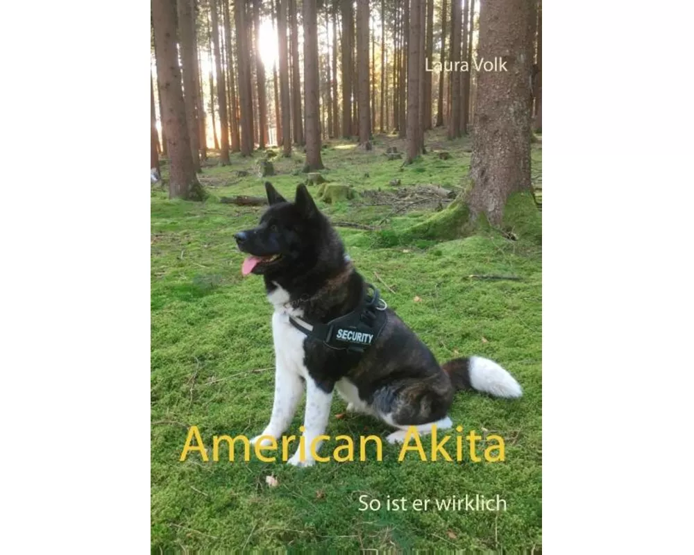 American Akita