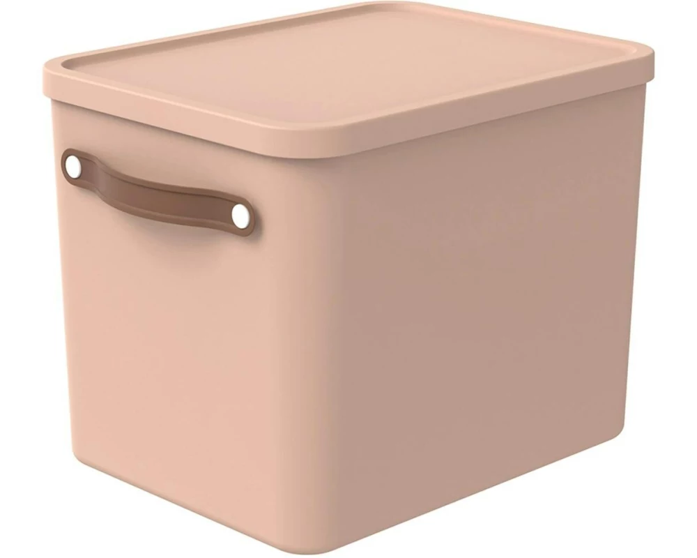 Rotho Aufbewahrungsbox MALOJA Hellbraun