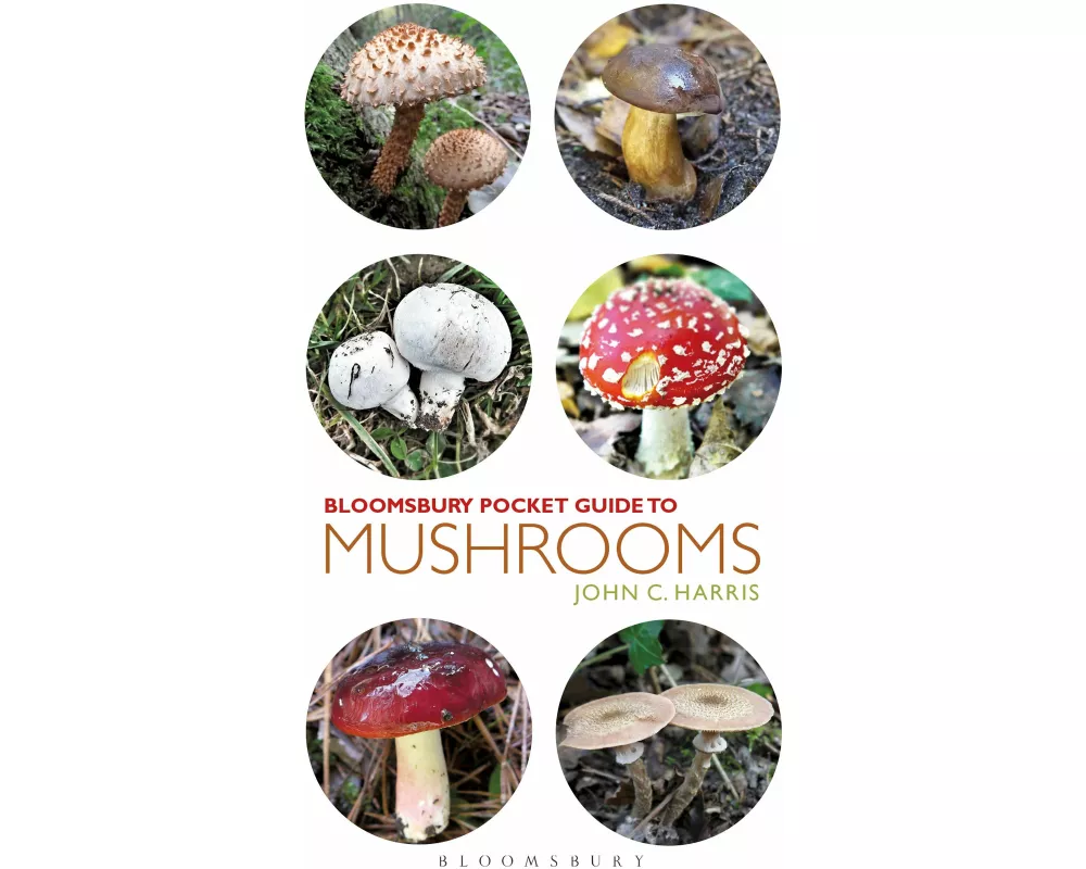 Pocket Guide to Mushrooms