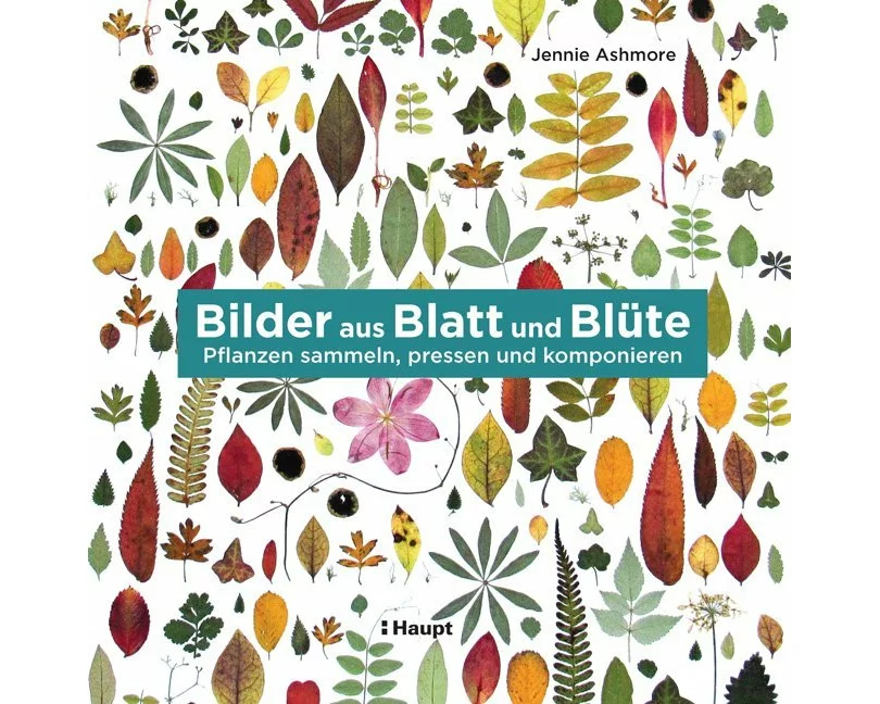 Bilder aus Blatt und Blüte