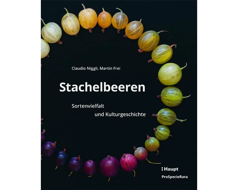 Stachelbeeren