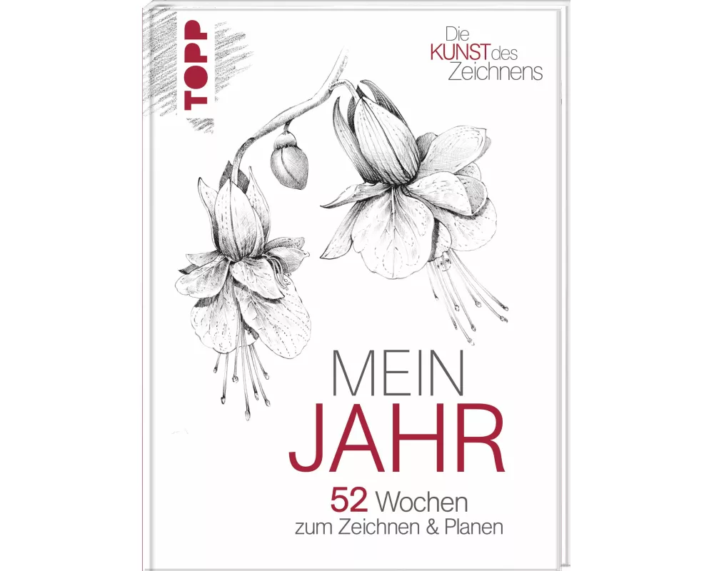 Die Kunst des Zeichnens: Mein Jahr