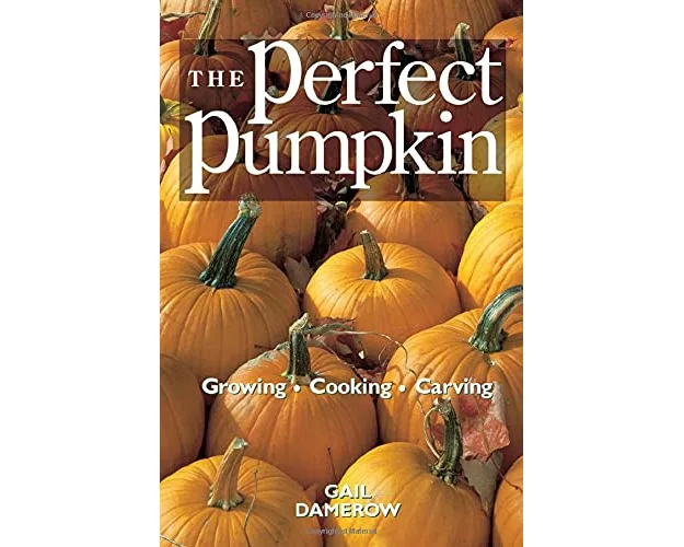 The Perfect Pumpkin