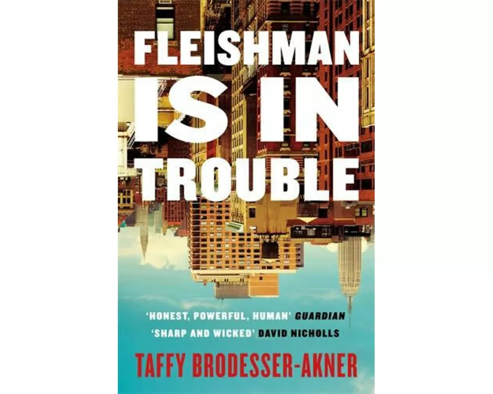 Fleishman is in Trouble