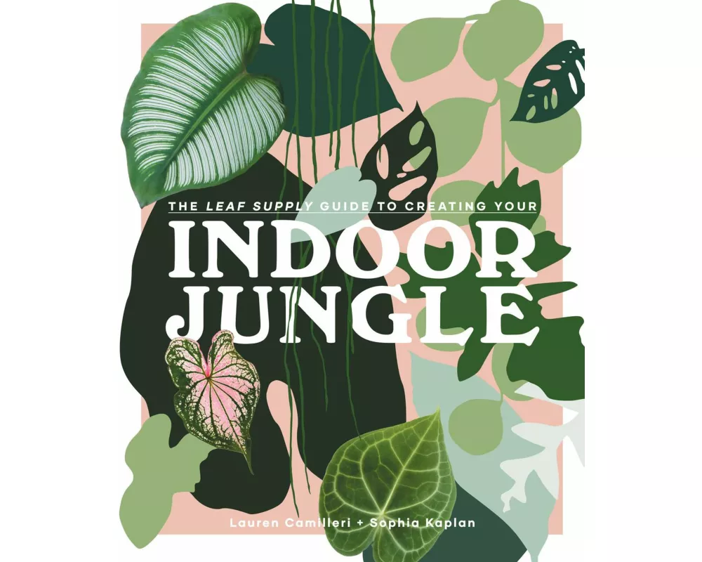 The Leaf Supply Guide to Creating Your Indoor Jungle