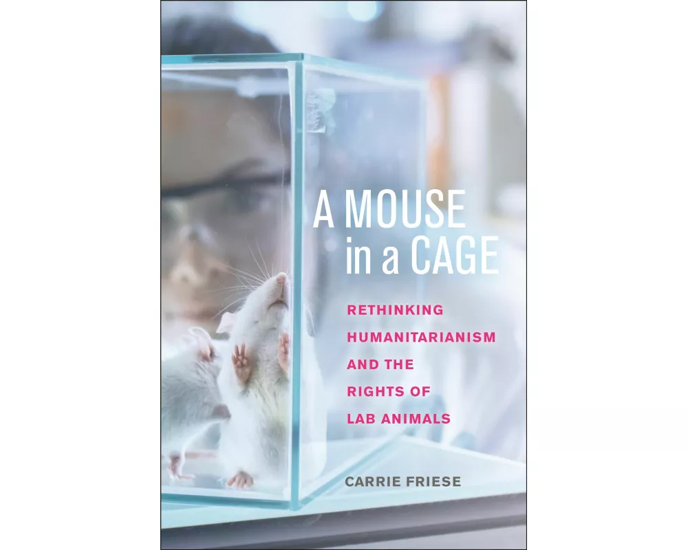 A Mouse in a Cage