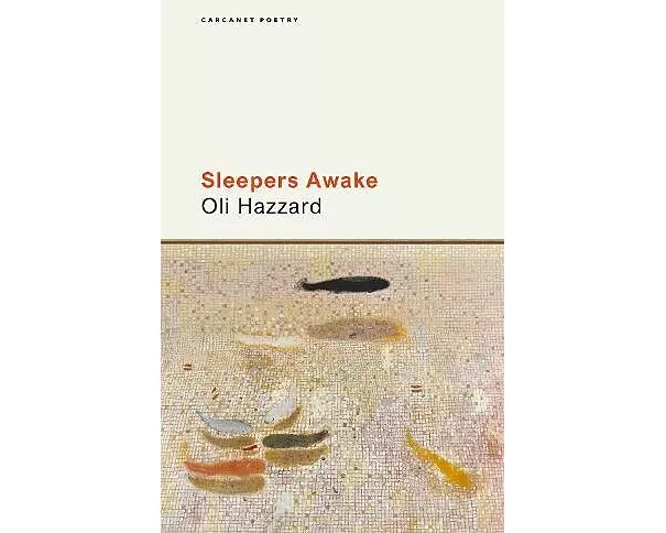 Sleepers Awake