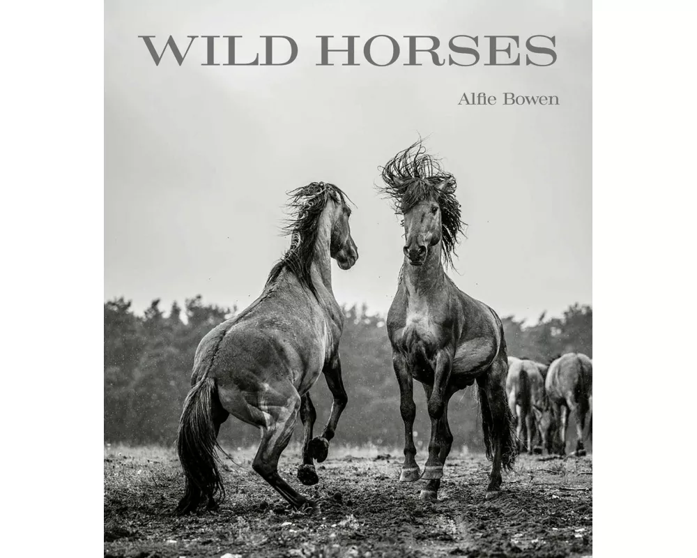 Wild Horses