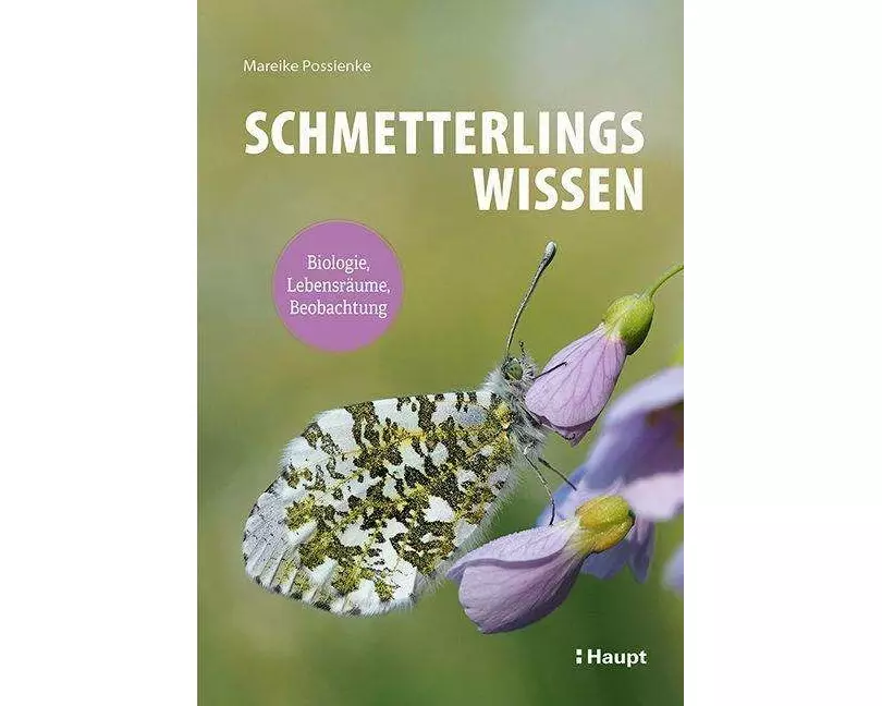 Schmetterlingswissen
