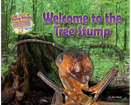Welcome to the Tree Stump