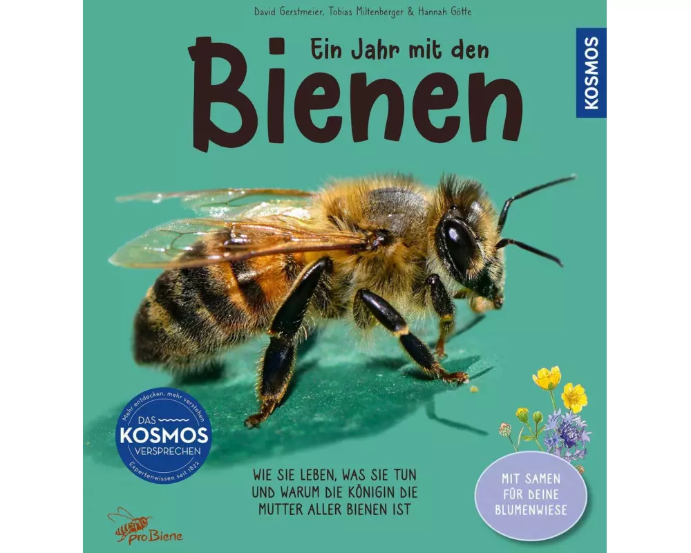 Ein Jahr mit den Bienen
