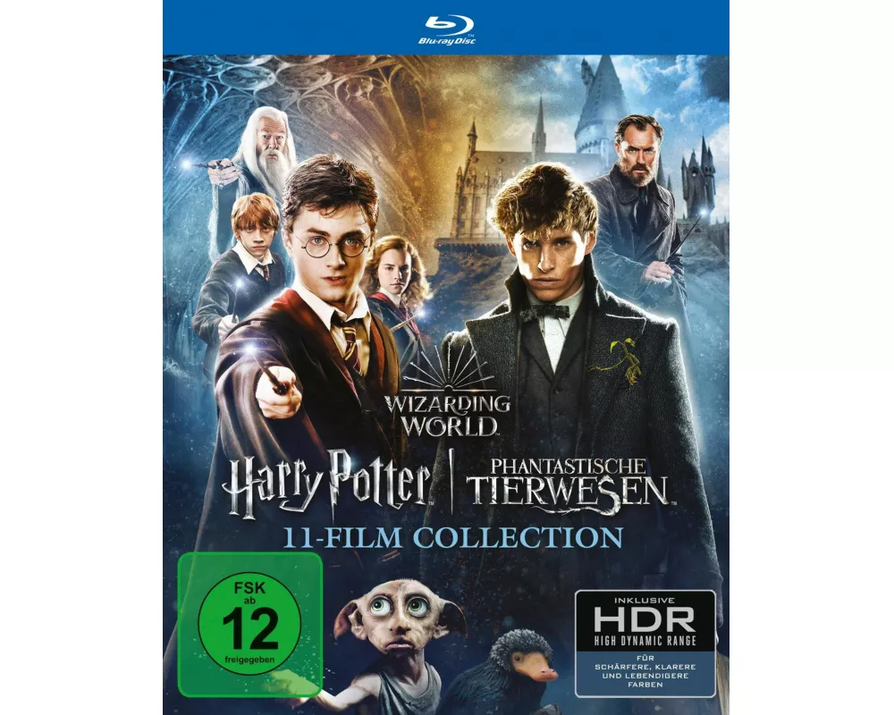 Wizarding World 11-Film Collection