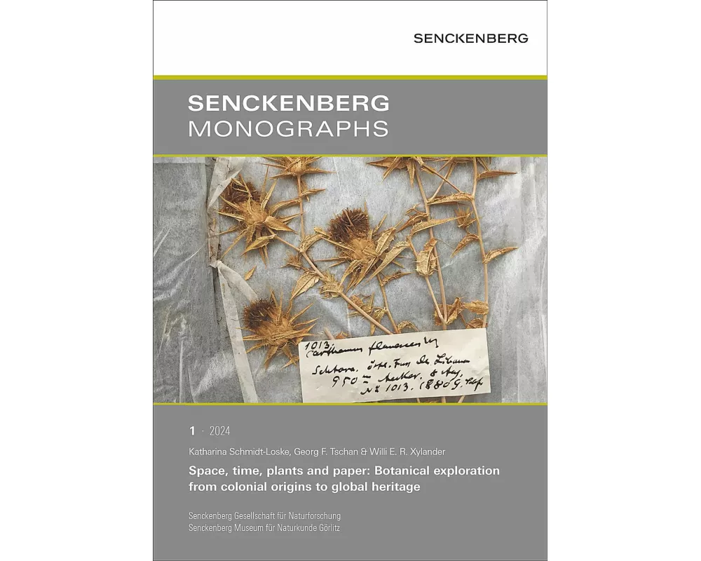 Space, time, plants and paper