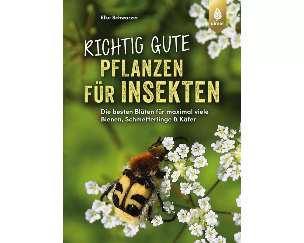 Richtig gute Pflanzen für Insekten