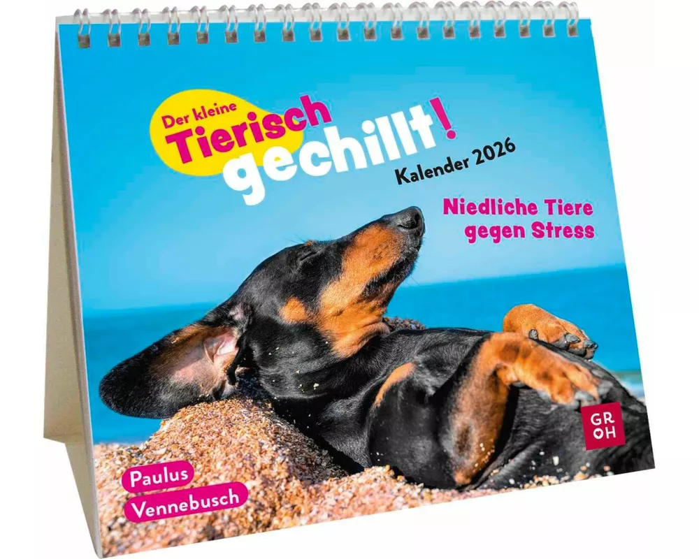 Mini-Kalender 2026: Der kleine Tierisch gechillt! Kalender