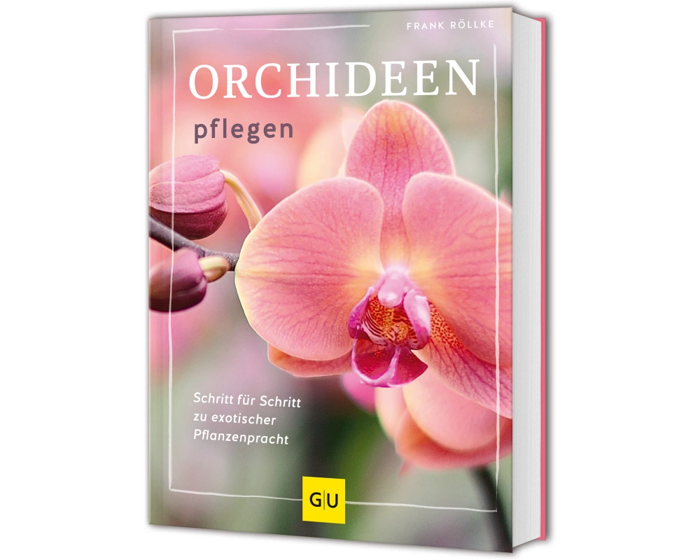 Orchideen pflegen