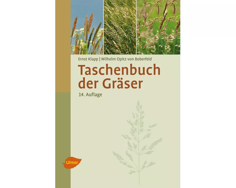 Taschenbuch der Gräser