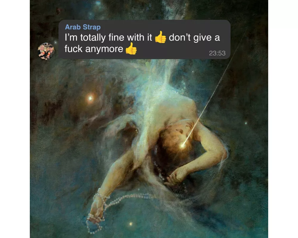 I'm Totally Fine With It Don't Give A Fuck Anymore