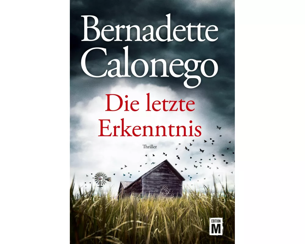 Die letzte Erkenntnis