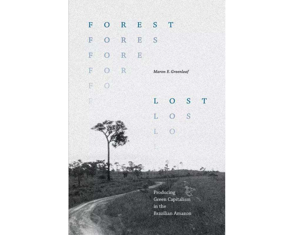 Forest Lost
