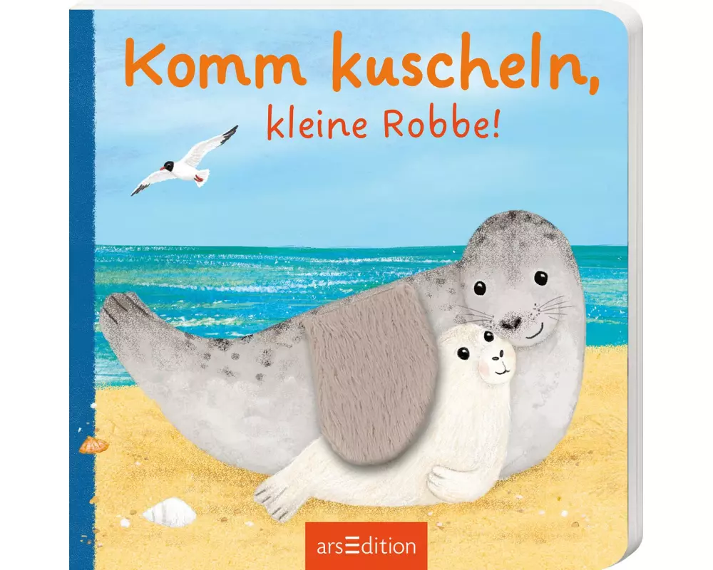 Komm kuscheln, kleine Robbe!