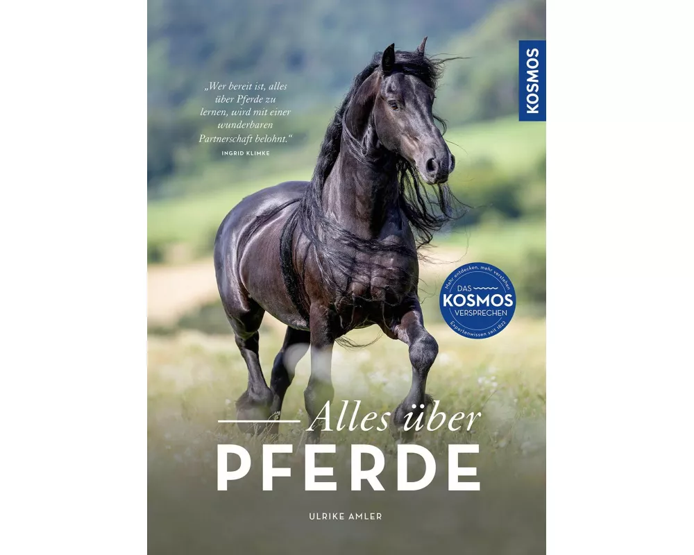 Alles über Pferde