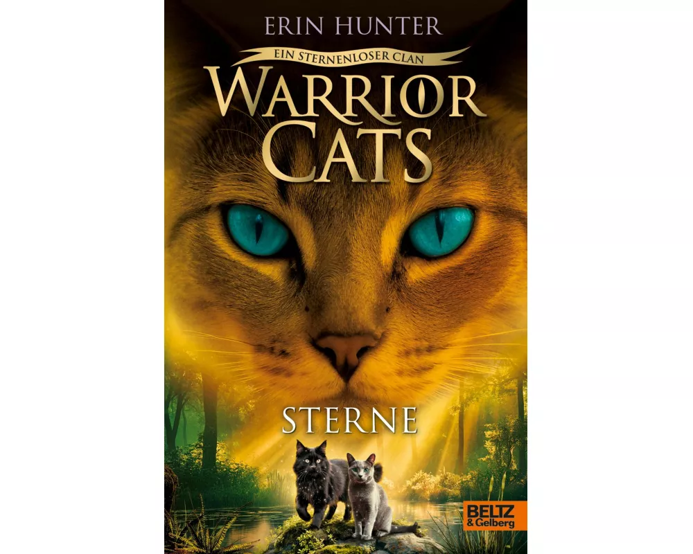 Warrior Cats - Ein sternenloser Clan. Sterne