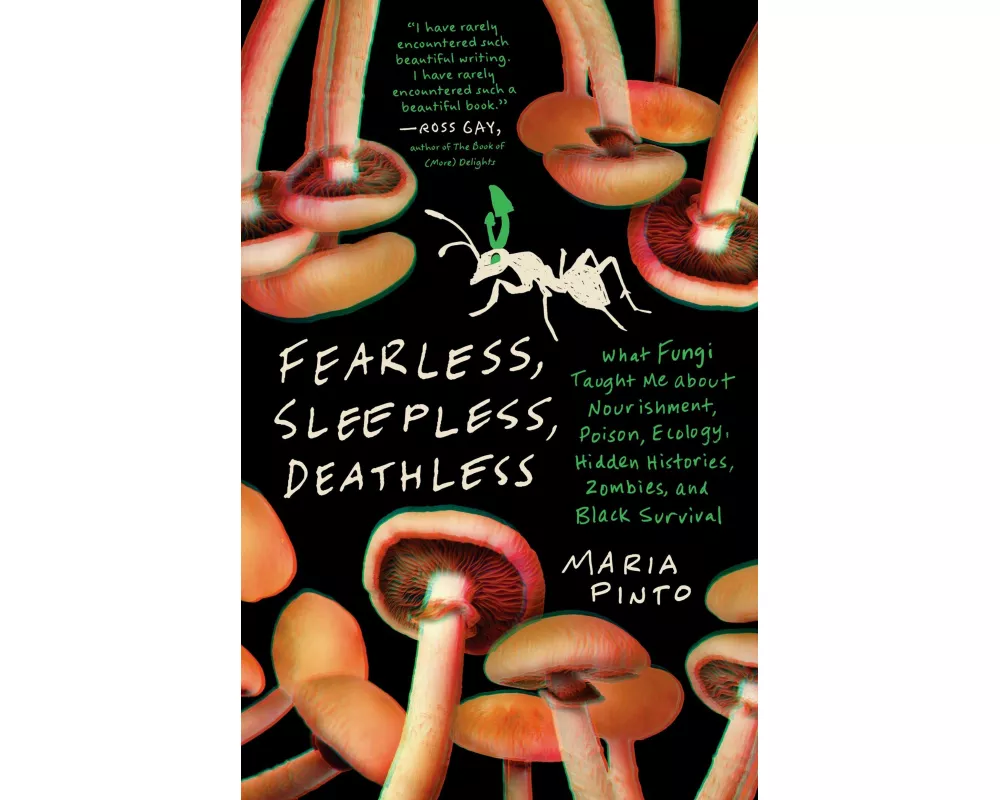 Fearless, Sleepless, Deathless