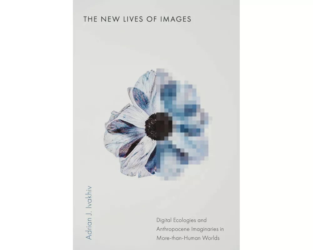 The New Lives of Images