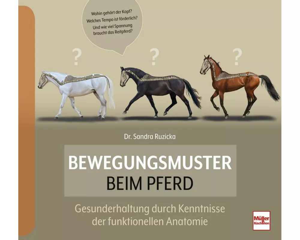Bewegungsmuster beim Pferd